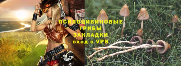 дурь Белокуриха