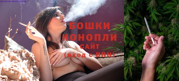 шишки Балабаново