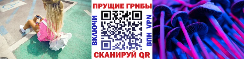 цена наркотик  Билибино  даркнет Telegram  Галлюциногенные грибы Psilocybe 
